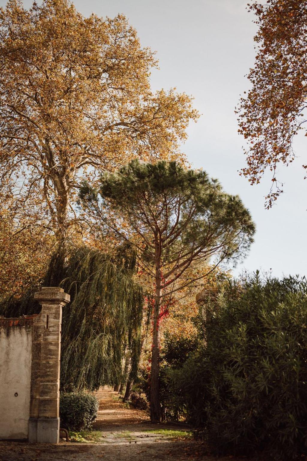 Gite Superbe L'Ecurie Xixeme Sallèles-dʼAude Exterior foto